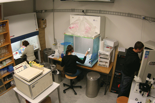 Cell-culture-room