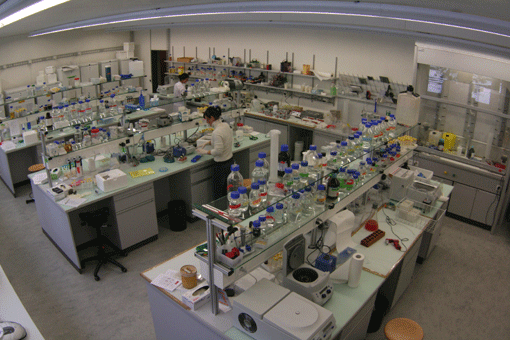 cell culture room